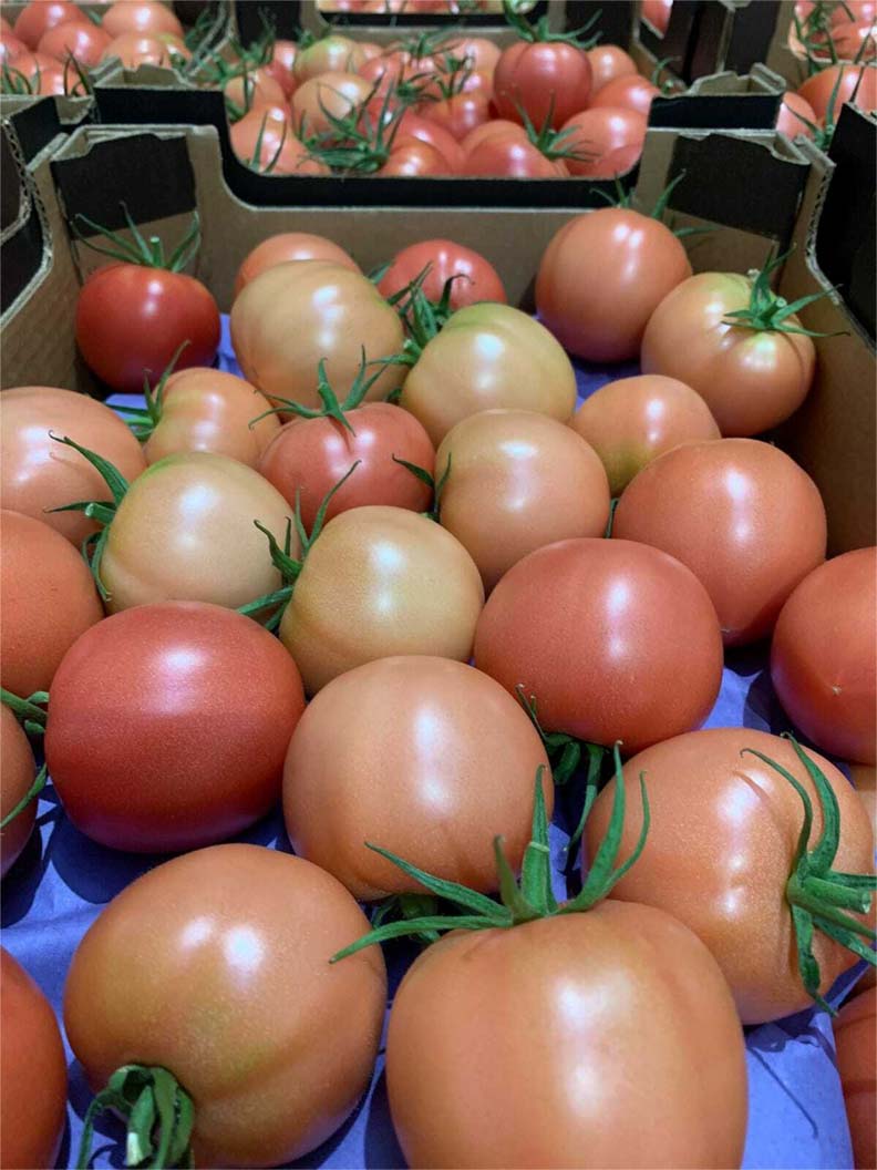 frutas y verduras | i love citrus