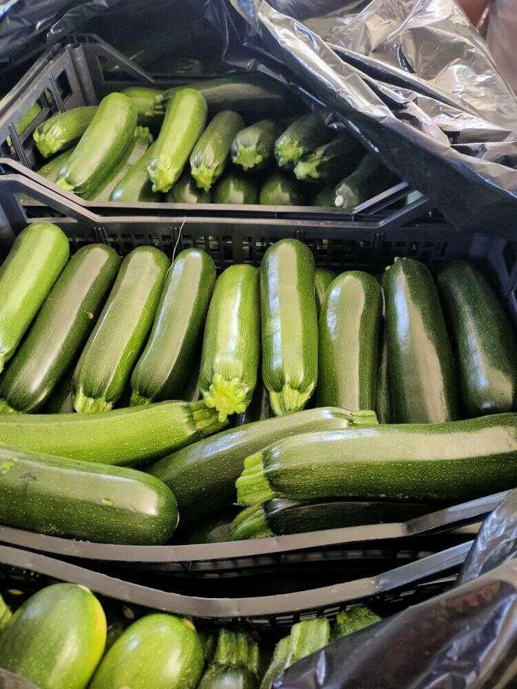 frutas y verduras | i love citrus