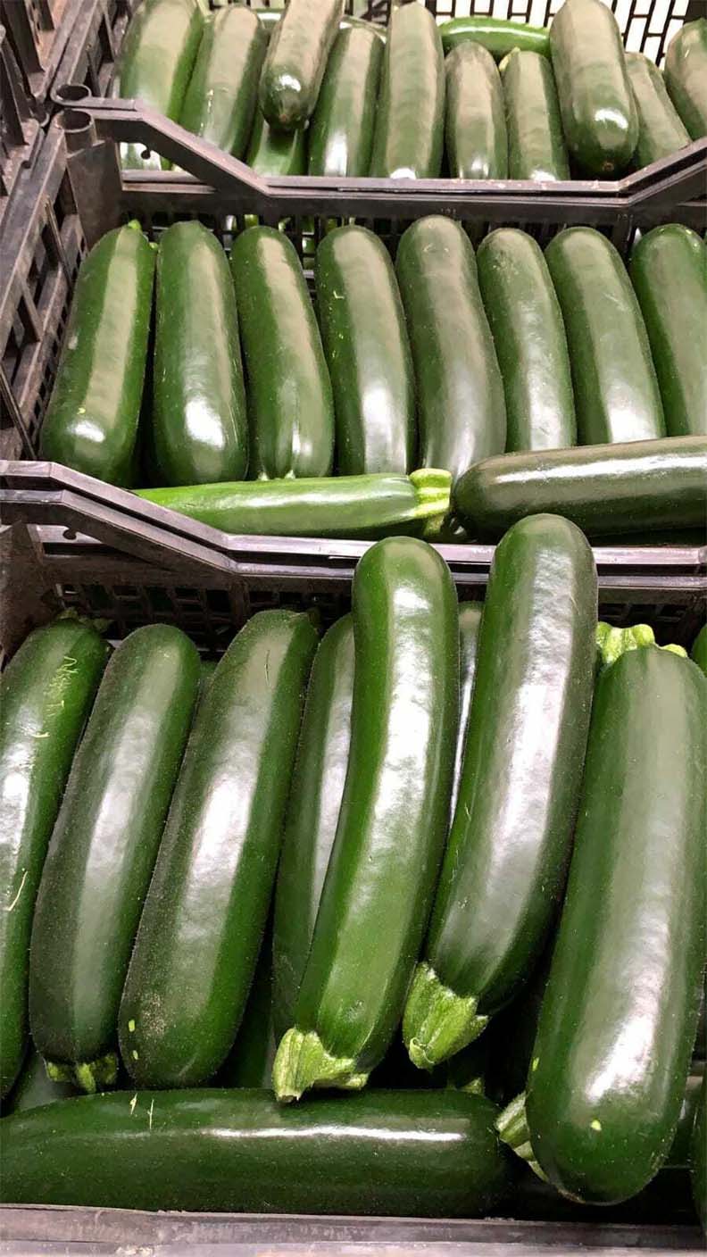 frutas y verduras | i love citrus