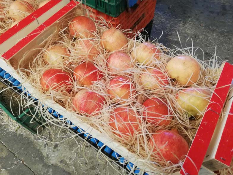 frutas y verduras | i love citrus