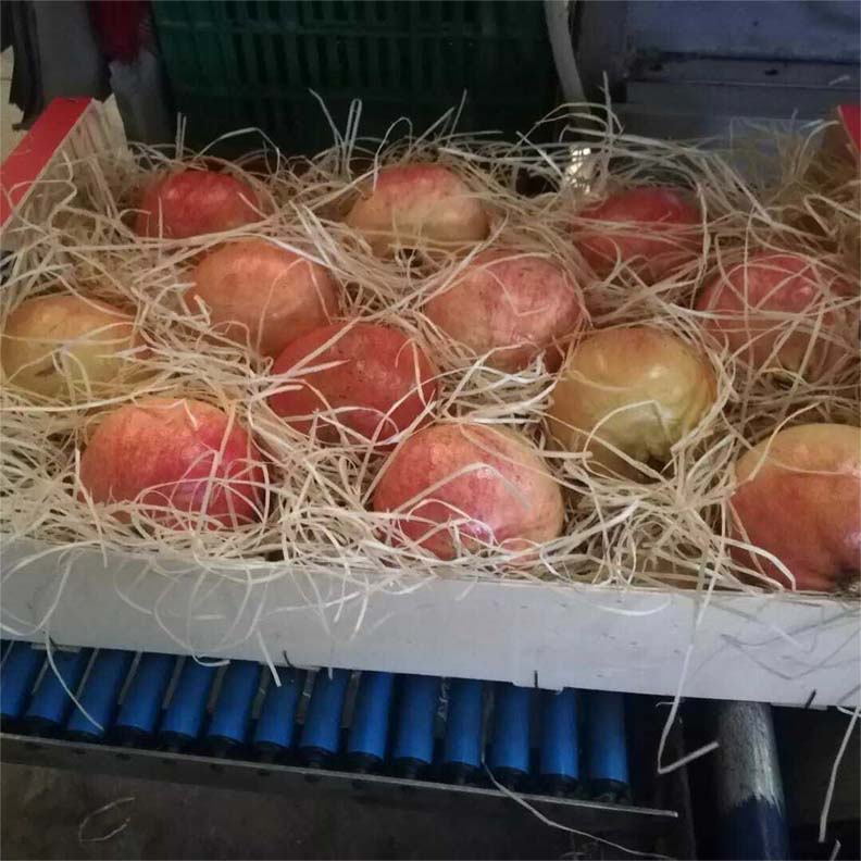 frutas y verduras | i love citrus