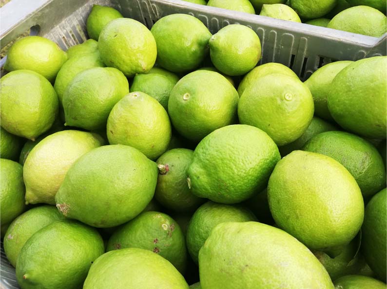 limones | i love citrus