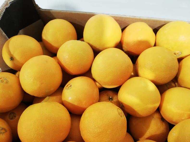 naranjas | i love citrus