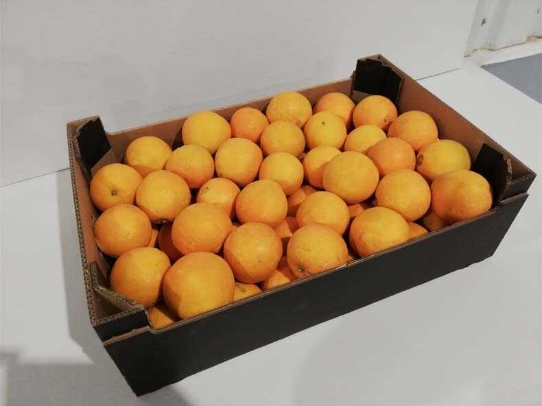 naranjas | i love citrus