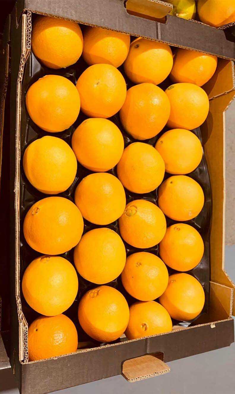 naranjas | i love citrus